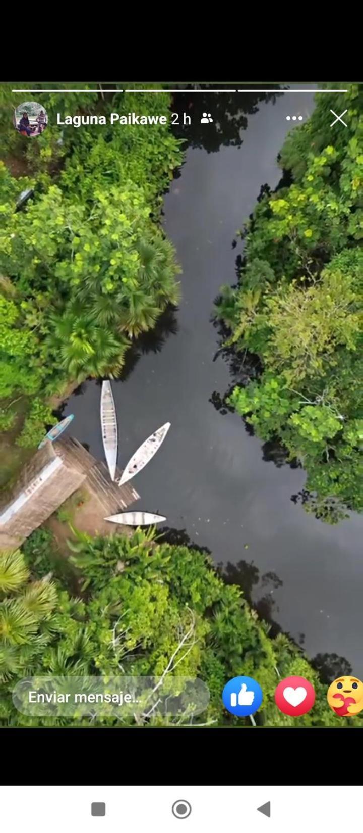Misahualli Laguna Paikawe B&B Exterior photo