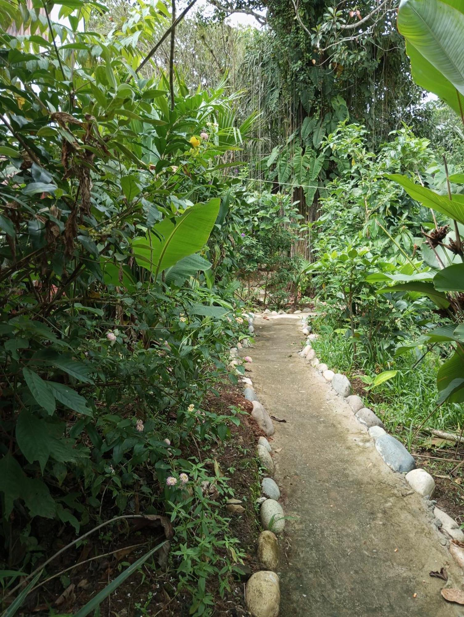 Misahualli Laguna Paikawe B&B Exterior photo