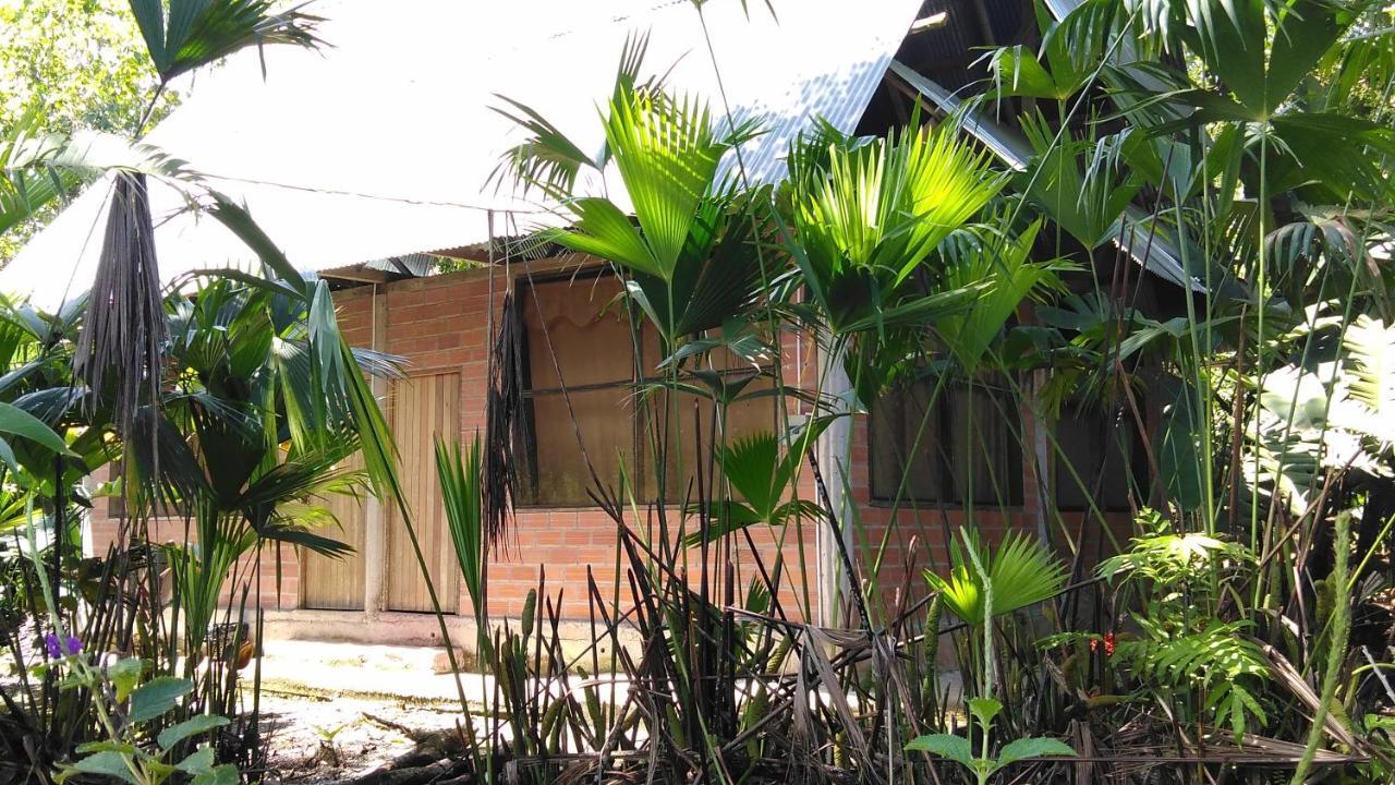 Misahualli Laguna Paikawe B&B Exterior photo