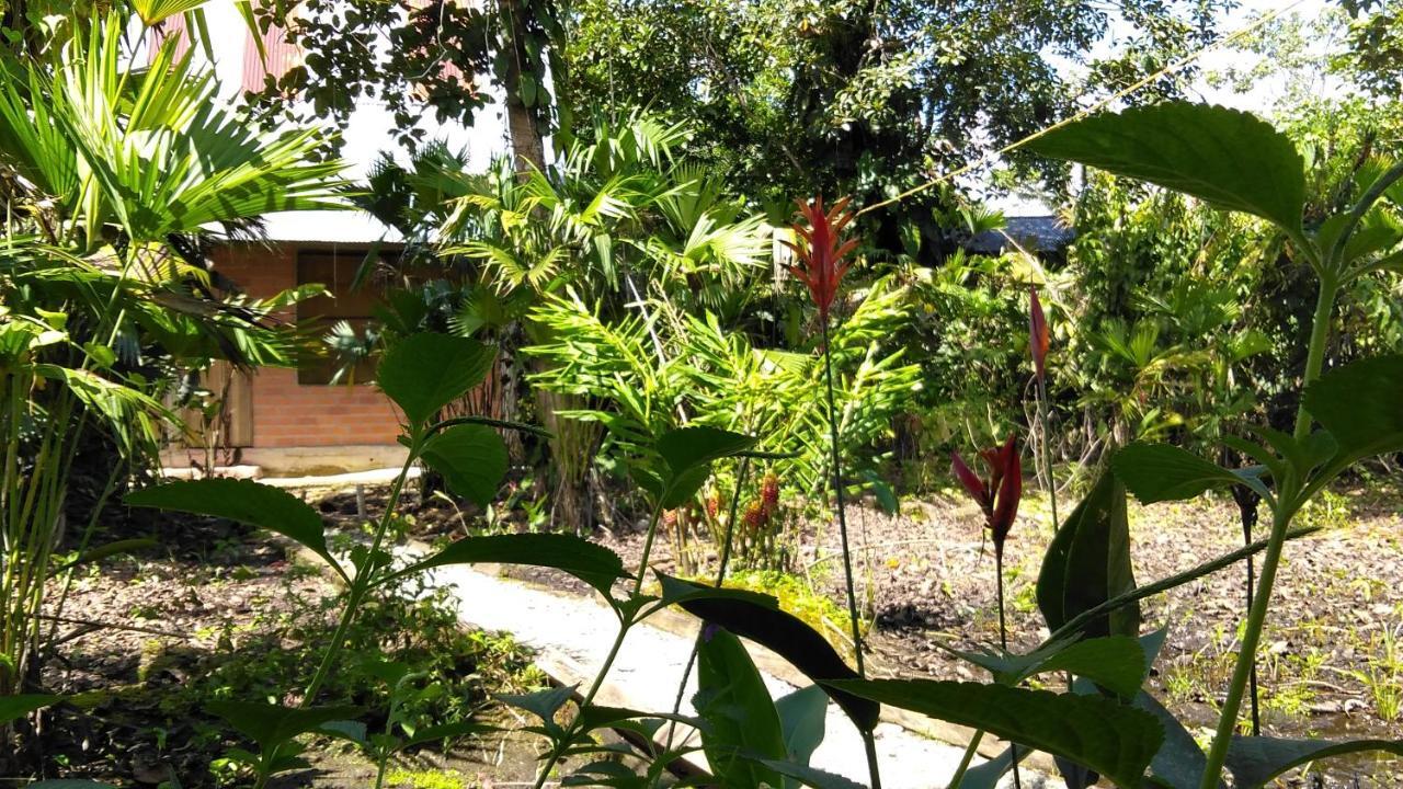 Misahualli Laguna Paikawe B&B Exterior photo